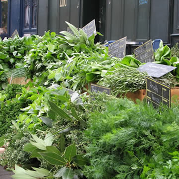 Food markets, France