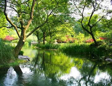 Hangzhou garden, Gourmet China tour