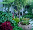 Garden, Kauri Cliffs, New Zealand