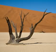 Safaris, Sossusvlei, Namibia