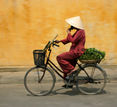 Vietnam, Hanoi cyclist