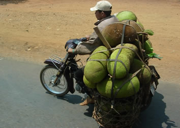 Vietnam, Jackfruit motorbike