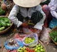 Vietnam, Hanoi street vendor